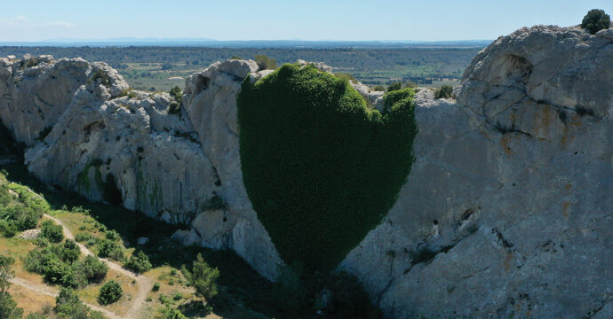 Cœur en lierre sur les falaises aux Caisses de JeanJean