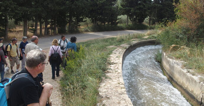photo balade eau sauvage, eau cultivée chemin faisan et Pnra